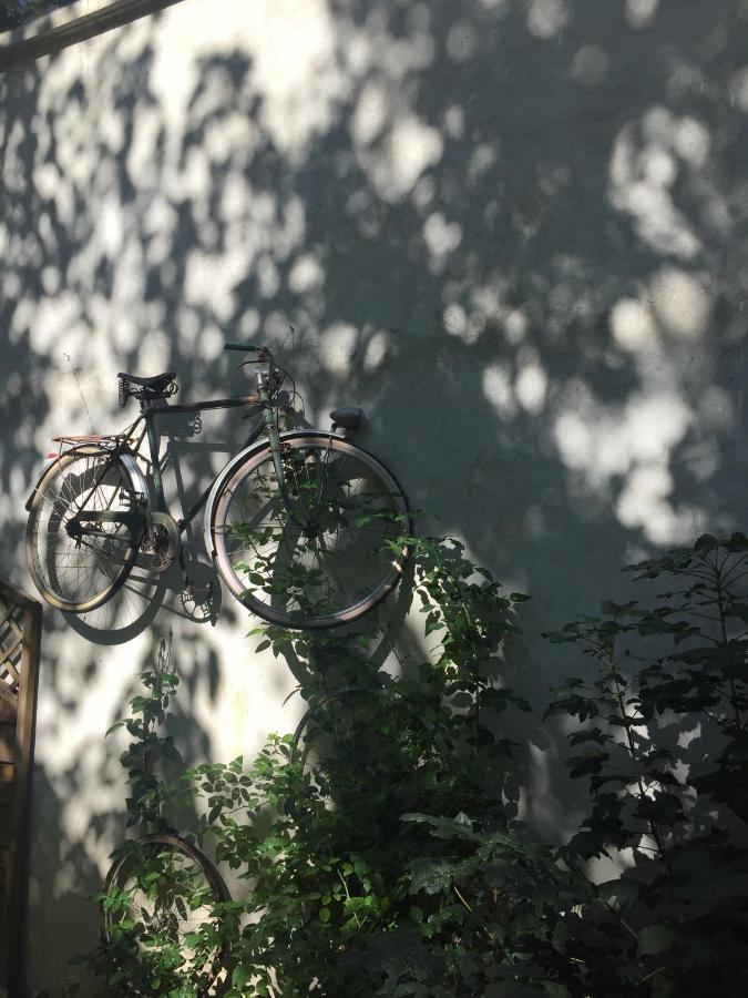 Un Autre Monde Apartment Saint-Claude Bagian luar foto